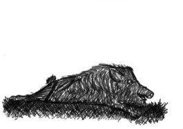Keight's Drawings