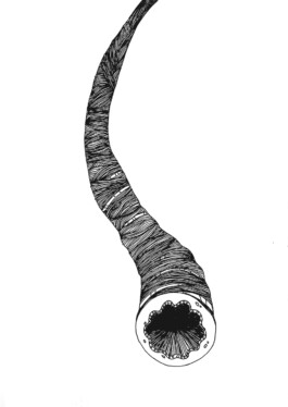 Keight's Drawings